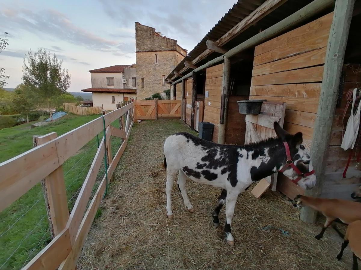 Villa Les Hauts Vallons Puylaroque Exterior foto